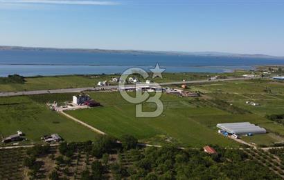 ÇANAKKALE LAPSEKİ ÇARDAK'TA HUZURLU YAŞAM İÇİN VİLLA İMARLI ARSA