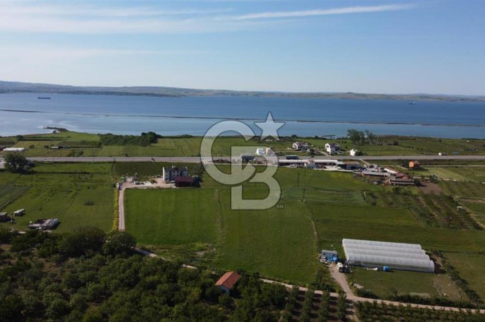 ÇANAKKALE LAPSEKİ ÇARDAK'TA HUZURLU YAŞAM İÇİN VİLLA İMARLI ARSA