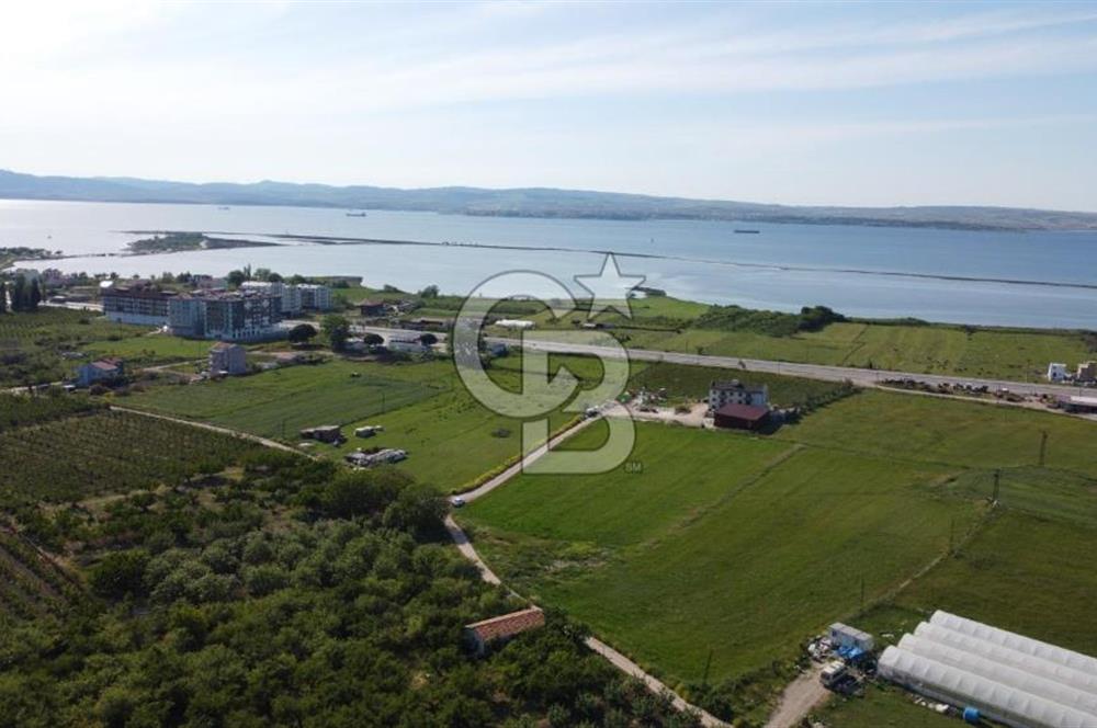 ÇANAKKALE LAPSEKİ ÇARDAK'TA HUZURLU YAŞAM İÇİN VİLLA İMARLI ARSA