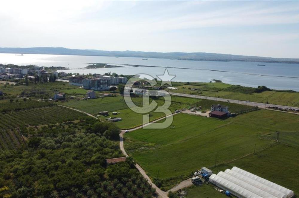 ÇANAKKALE LAPSEKİ ÇARDAK'TA HUZURLU YAŞAM İÇİN VİLLA İMARLI ARSA