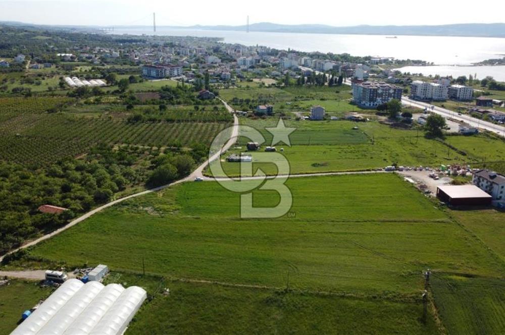 ÇANAKKALE LAPSEKİ ÇARDAK'TA HUZURLU YAŞAM İÇİN VİLLA İMARLI ARSA