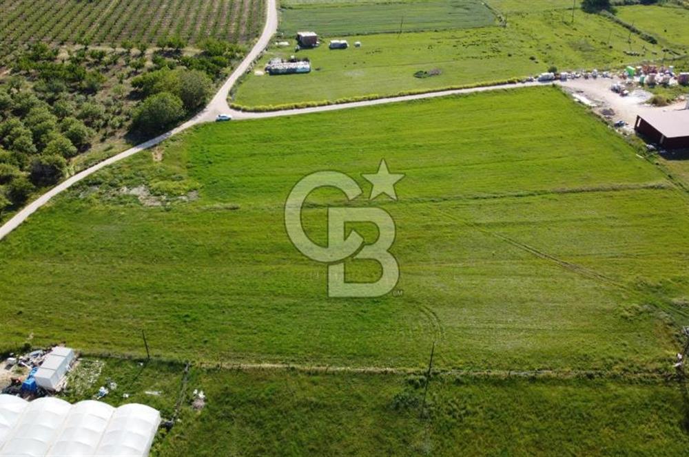 ÇANAKKALE LAPSEKİ ÇARDAK'TA HUZURLU YAŞAM İÇİN VİLLA İMARLI ARSA