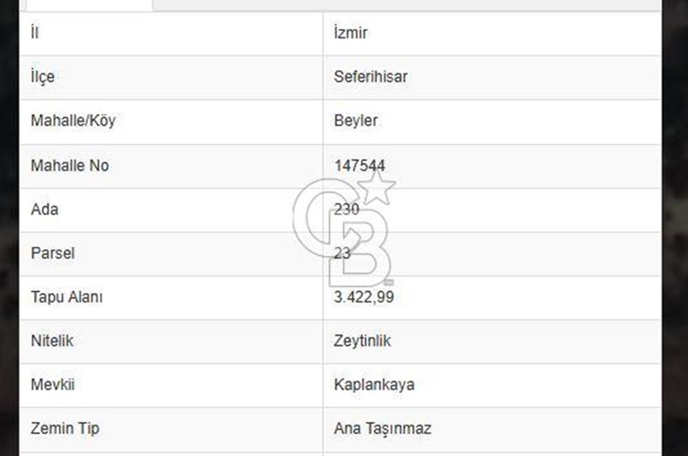 SEFERİHİSAR BEYLER MAH. SATILIK ZEYTİNLİK