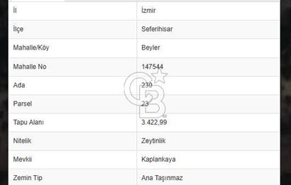 SEFERİHİSAR BEYLER MAH. SATILIK ZEYTİNLİK