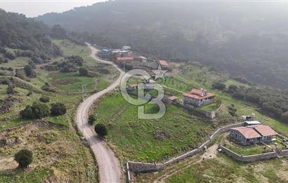 Karşıyaka Yamanlar Ovacıkta Doğayla İç İçe 2591m2 Satılık Arazi