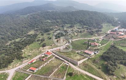 Karşıyaka Yamanlar Ovacıkta Doğayla İç İçe 2591m2 Satılık Arazi