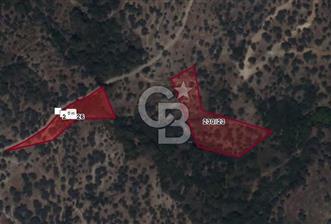 SEFERİHİSAR BEYLER MAH. SATILIK ZEYTİNLİK - 9 - 312894