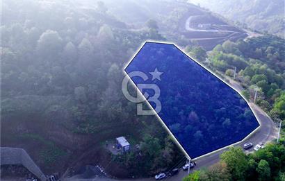 CB ENVOY'dan Başiskele Yuvacık'da Satılık Tarla