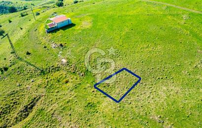 Çandarlı Koru Mevkii'nde Satılık Deniz Manzaralı 357 m2 Arsa