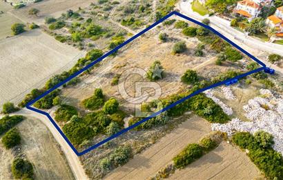 Çeşme Şehitmehmet Mahallesinde Satılık Tarla