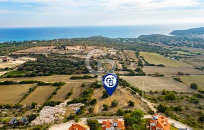 Çeşme Şehitmehmet Mahallesinde Satılık Tarla