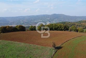 BİGA AKKAYRAK KÖYÜNDE SATILIK 3100 M2 TARLA - 4 - 312981