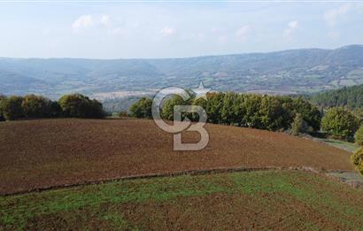 ÇANAKKALE BİGA AKKAYRAK KÖYÜNDE 1800 M2 SATILIK TARLA