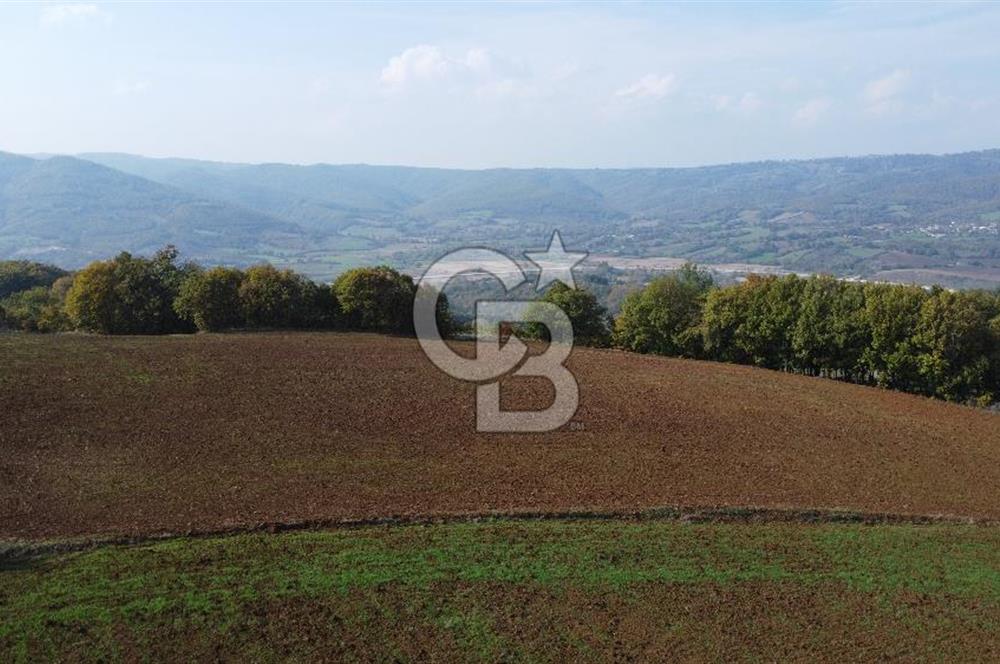 ÇANAKKALE BİGA AKKAYRAK KÖYÜNDE 1800 M2 SATILIK TARLA