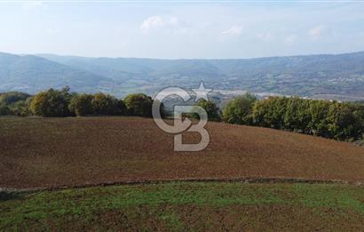 ÇANAKKALE BİGA AKKAYRAK KÖYÜNDE 1800 M2 SATILIK TARLA