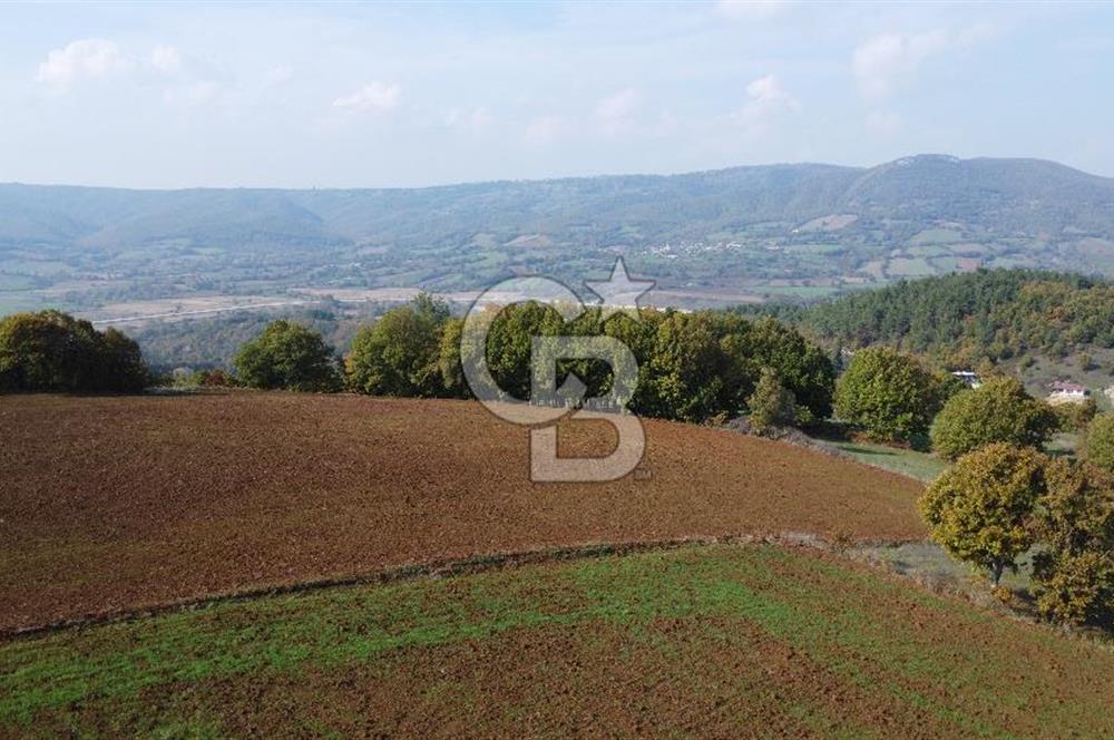 ÇANAKKALE BİGA AKKAYRAK KÖYÜNDE 1800 M2 SATILIK TARLA