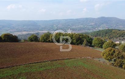 ÇANAKKALE BİGA AKKAYRAK KÖYÜNDE 1800 M2 SATILIK TARLA