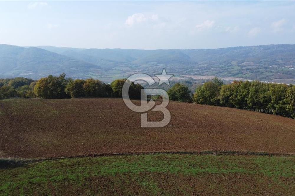 BİGA AKKAYRAK KÖYÜNDE SATILIK 3475 M2 TARLA