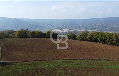 BİGA AKKAYRAK KÖYÜNDE SATILIK 3475 M2 TARLA