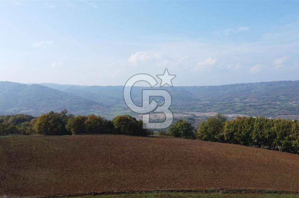 BİGA AKKAYRAK KÖYÜNDE SATILIK 3100 M2 TARLA