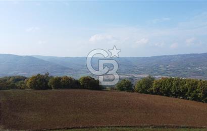 BİGA AKKAYRAK KÖYÜNDE SATILIK 3100 M2 TARLA