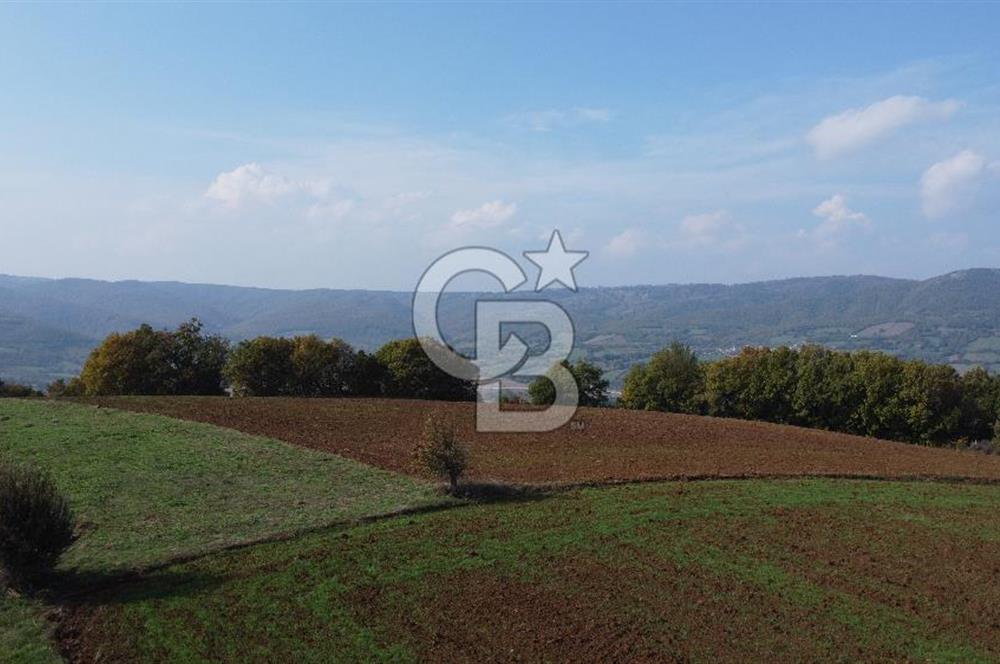 BİGA AKKAYRAK KÖYÜNDE SATILIK 3100 M2 TARLA