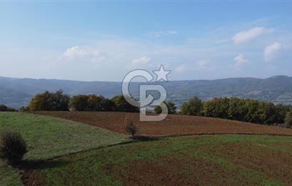 BİGA AKKAYRAK KÖYÜNDE SATILIK 3100 M2 TARLA