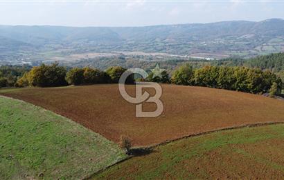 BİGA AKKAYRAK KÖYÜNDE SATILIK 3475 M2 TARLA