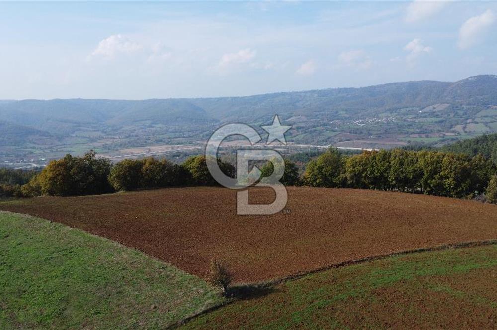 BİGA AKKAYRAK KÖYÜNDE SATILIK 3100 M2 TARLA