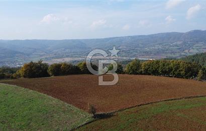 BİGA AKKAYRAK KÖYÜNDE SATILIK 3100 M2 TARLA