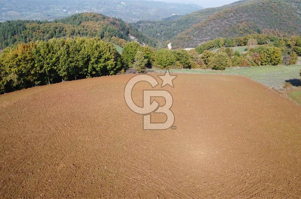 ÇANAKKALE BİGA AKKAYRAK KÖYÜNDE 1800 M2 SATILIK TARLA