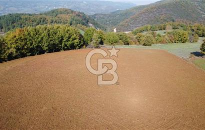 ÇANAKKALE BİGA AKKAYRAK KÖYÜNDE 1800 M2 SATILIK TARLA