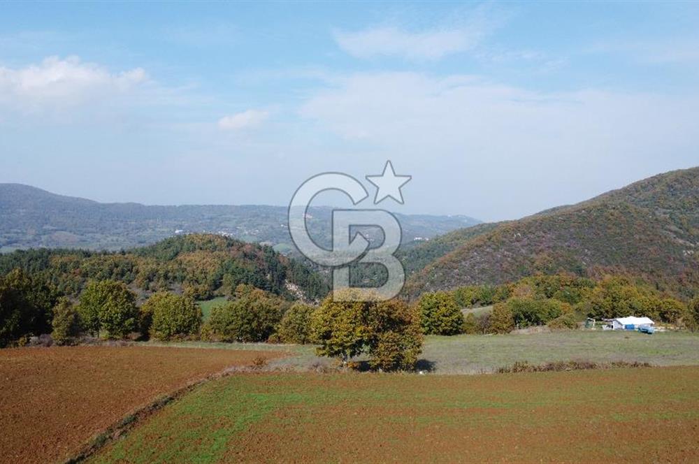 BİGA AKKAYRAK KÖYÜNDE SATILIK 3475 M2 TARLA