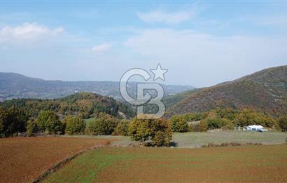 BİGA AKKAYRAK KÖYÜNDE SATILIK 3475 M2 TARLA