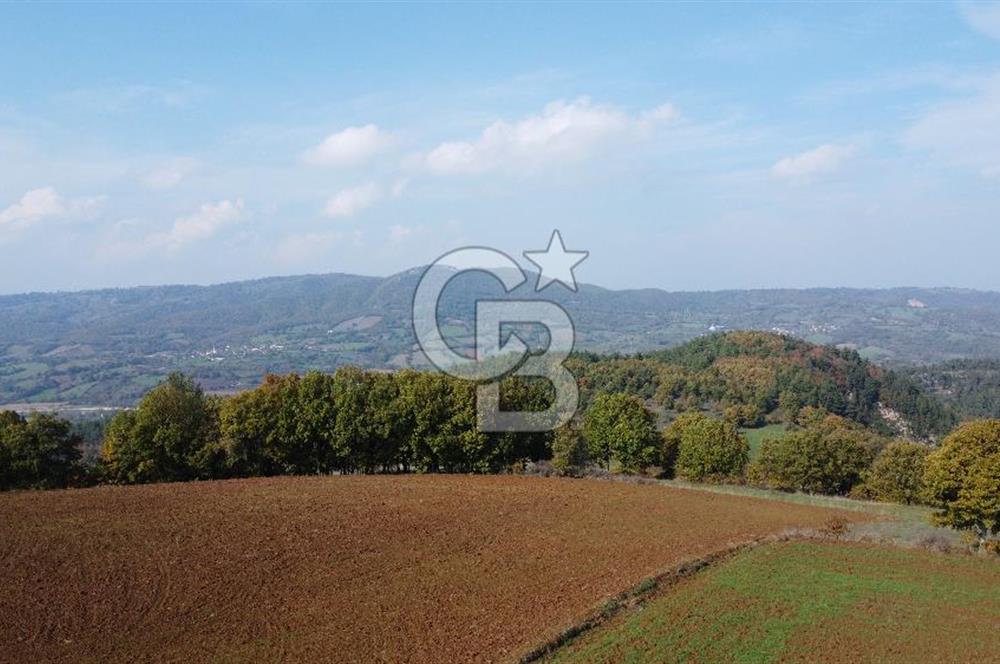 BİGA AKKAYRAK KÖYÜNDE SATILIK 3100 M2 TARLA