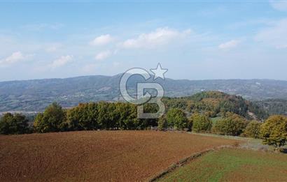 BİGA AKKAYRAK KÖYÜNDE SATILIK 3100 M2 TARLA