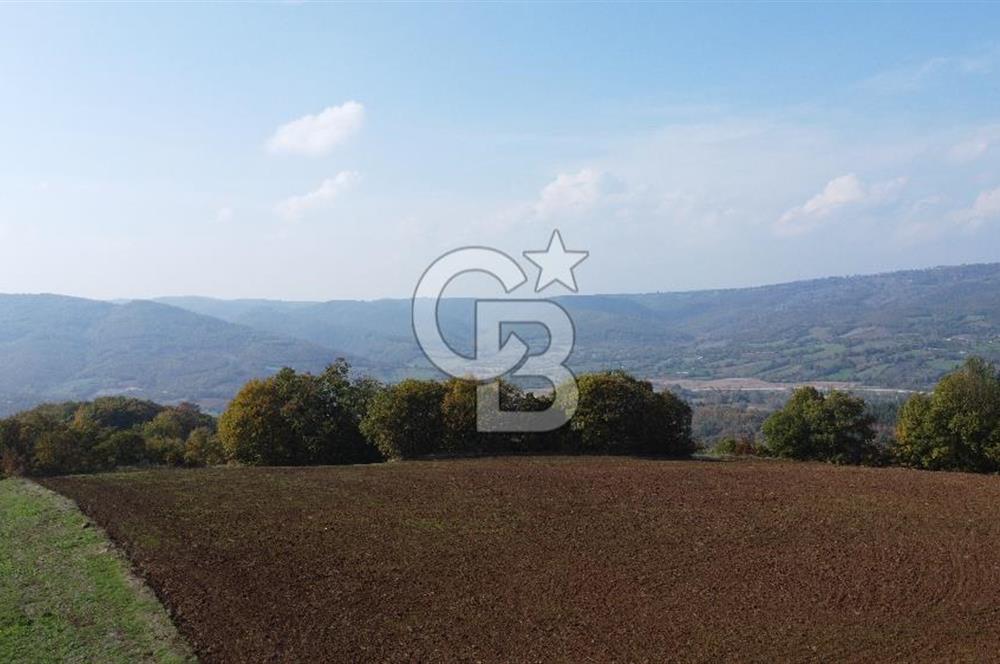ÇANAKKALE BİGA AKKAYRAK KÖYÜNDE 1800 M2 SATILIK TARLA