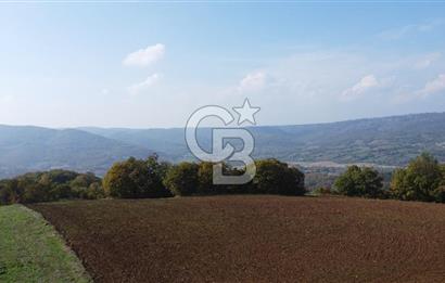 ÇANAKKALE BİGA AKKAYRAK KÖYÜNDE 1800 M2 SATILIK TARLA