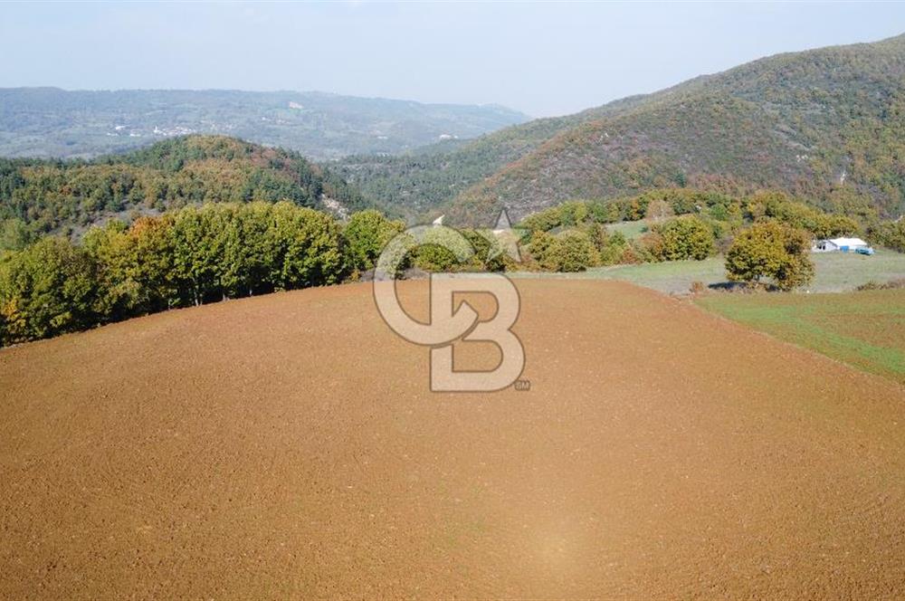 BİGA AKKAYRAK KÖYÜNDE SATILIK 3100 M2 TARLA