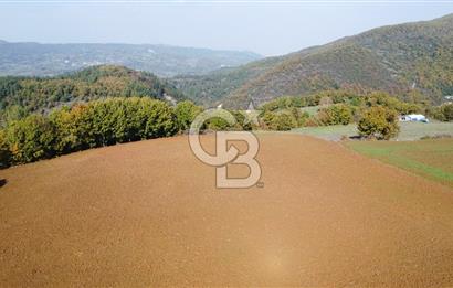 BİGA AKKAYRAK KÖYÜNDE SATILIK 3100 M2 TARLA