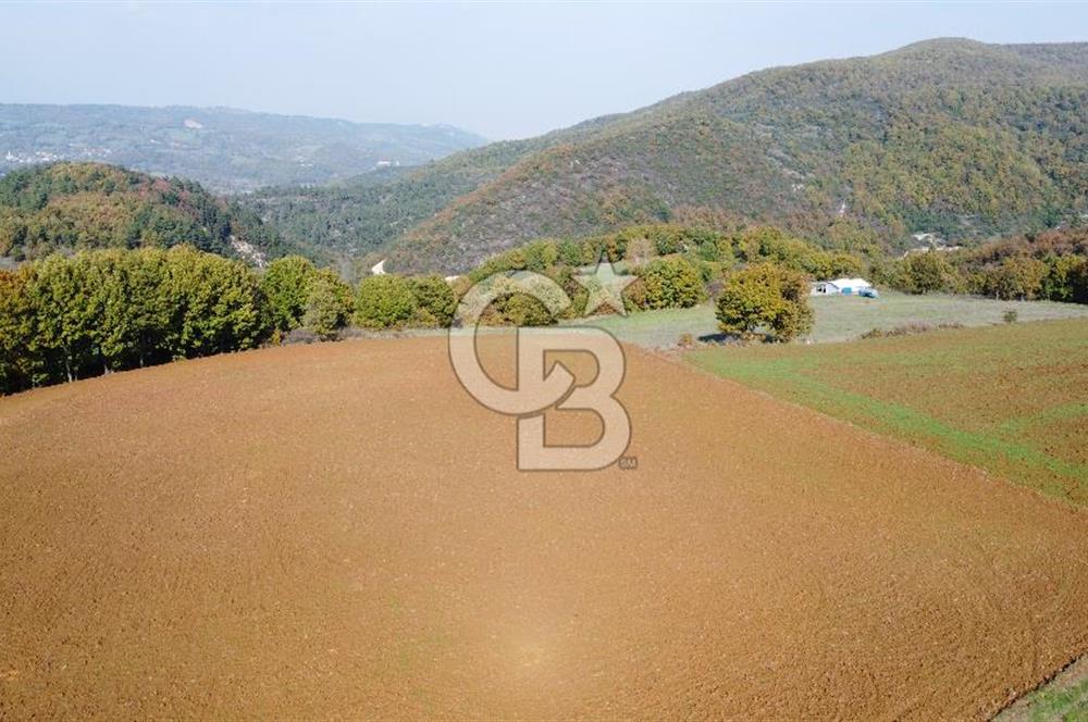 BİGA AKKAYRAK KÖYÜNDE SATILIK 3100 M2 TARLA