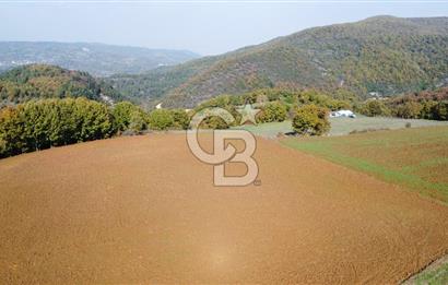 BİGA AKKAYRAK KÖYÜNDE SATILIK 3100 M2 TARLA