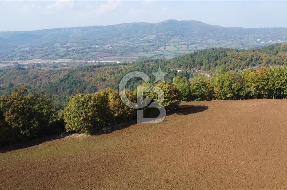 ÇANAKKALE BİGA AKKAYRAK KÖYÜNDE 1800 M2 SATILIK TARLA