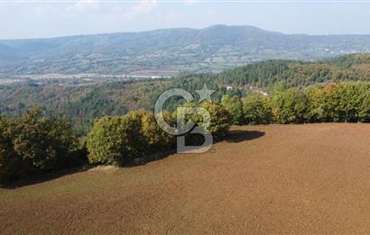 ÇANAKKALE BİGA AKKAYRAK KÖYÜNDE 1800 M2 SATILIK TARLA