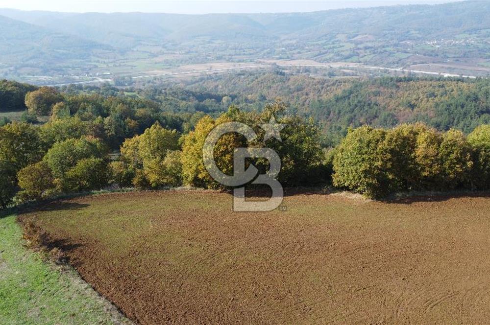 BİGA AKKAYRAK KÖYÜNDE SATILIK 3100 M2 TARLA