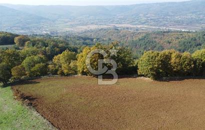 BİGA AKKAYRAK KÖYÜNDE SATILIK 3100 M2 TARLA