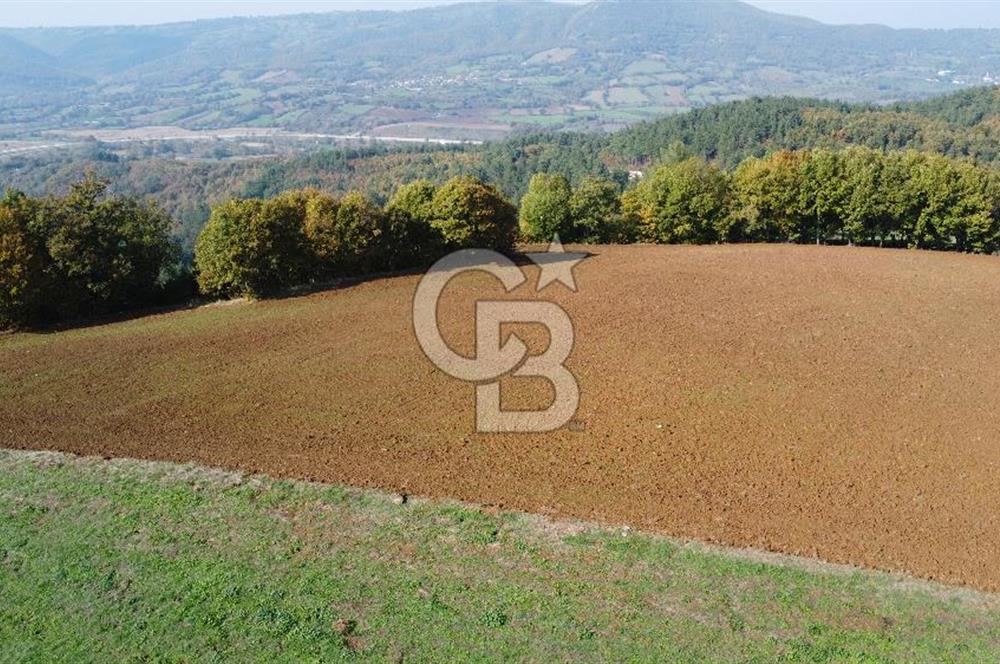 BİGA AKKAYRAK KÖYÜNDE SATILIK 3475 M2 TARLA