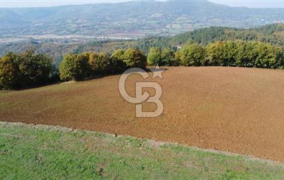 BİGA AKKAYRAK KÖYÜNDE SATILIK 3475 M2 TARLA