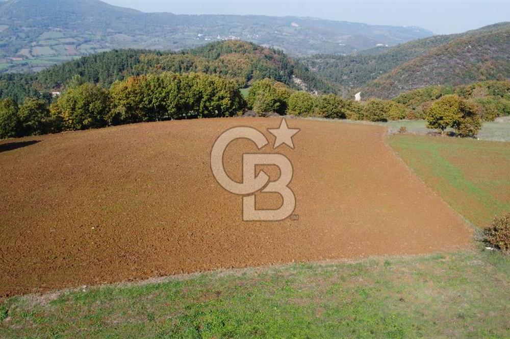 BİGA AKKAYRAK KÖYÜNDE SATILIK 3475 M2 TARLA