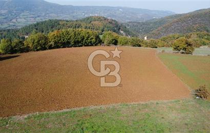 BİGA AKKAYRAK KÖYÜNDE SATILIK 3475 M2 TARLA